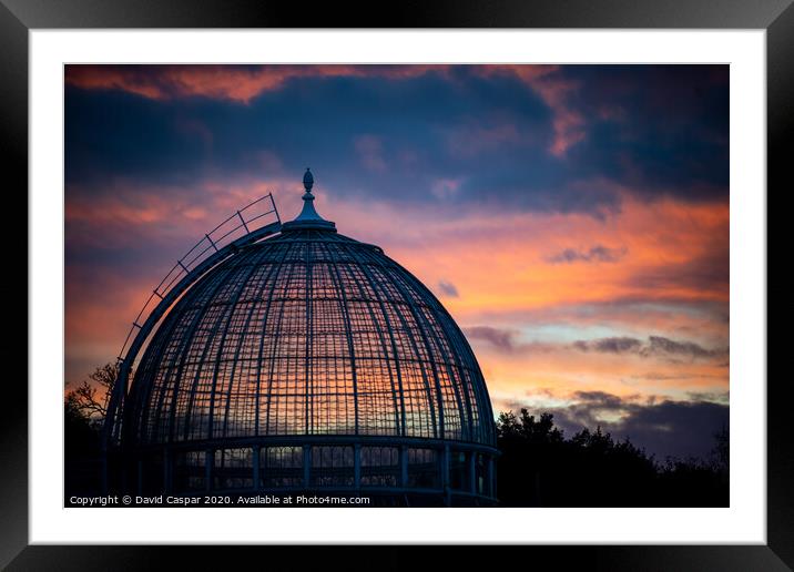 The Great Conservatory Framed Mounted Print by David Caspar