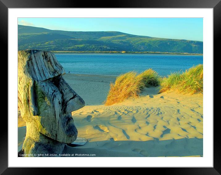 Wooden sculpture on the beach at Barmouth in Wales. Framed Mounted Print by john hill