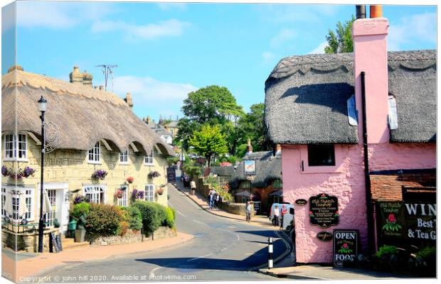 The beautiful thatched village of old Shanklin on the Isle of Wight.  Canvas Print by john hill