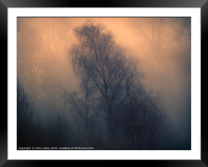 Silver birch on a misty morning Framed Mounted Print by Nick Lukey