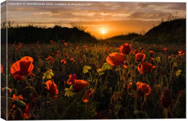 Poppies at sunset Canvas Print by Paul Richards