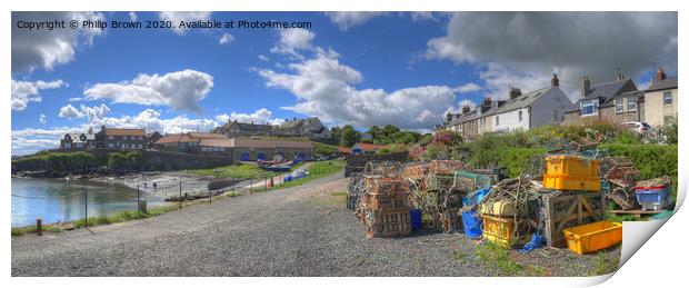 Craster Harbour in Northumberland. Panorama Print by Philip Brown