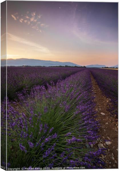 Lavender field at Sunrise Canvas Print by Michael Kemp