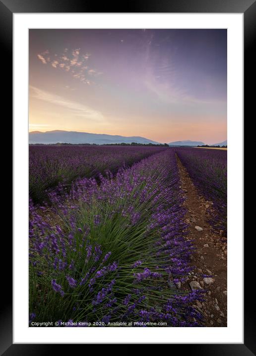 Lavender field at Sunrise Framed Mounted Print by Michael Kemp