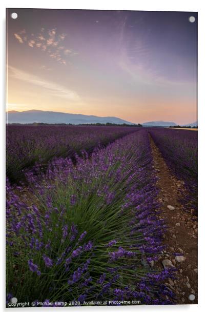 Lavender field at Sunrise Acrylic by Michael Kemp