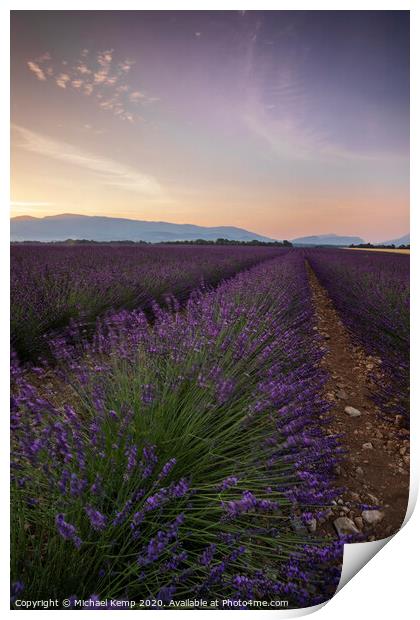 Lavender field at Sunrise Print by Michael Kemp