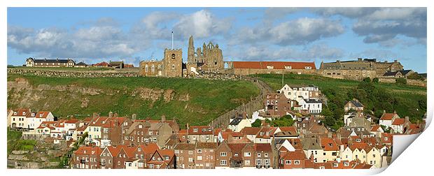 East Whitby - Panoramic Print by graham young
