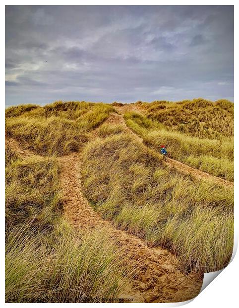 Port Talbot sand dunes  Print by Zoe Burke