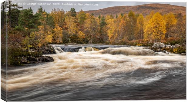 Autumn colours in Glen Affric Canvas Print by George Robertson
