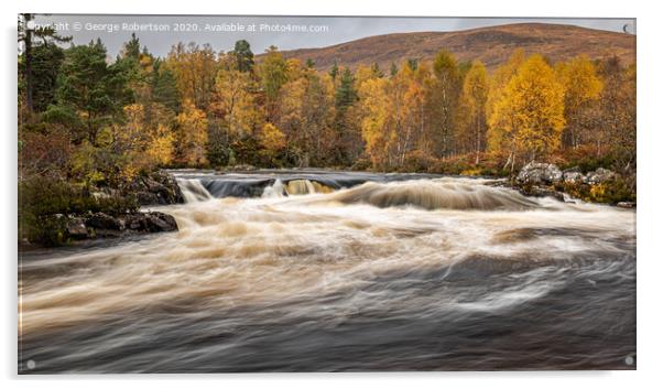 Autumn colours in Glen Affric Acrylic by George Robertson