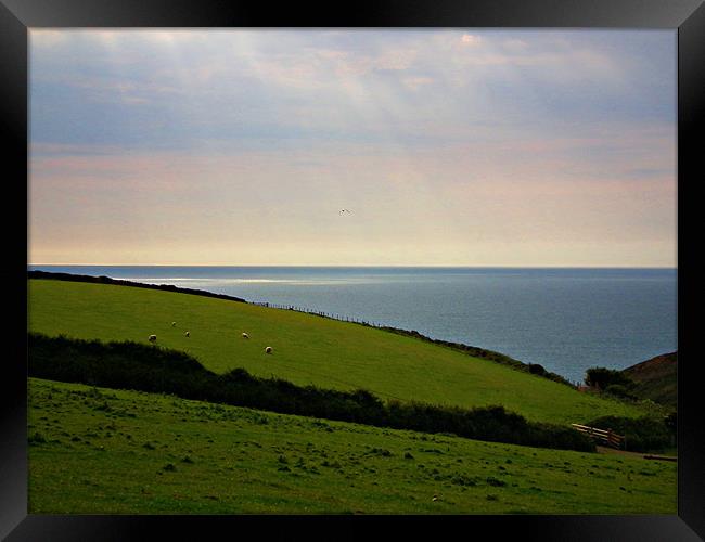 My Cornish Sea View Framed Print by Jules Camfield