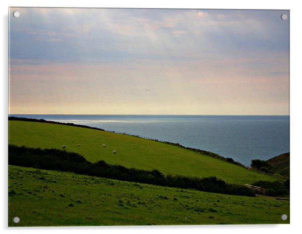 My Cornish Sea View Acrylic by Jules Camfield