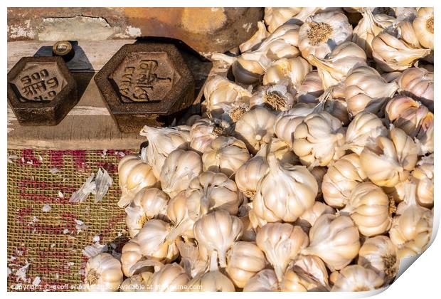 Garlic Print by geoff shoults