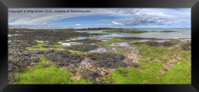 Coastal Colours near Bamburgh in Northumberland, Panorama Framed Print by Philip Brown