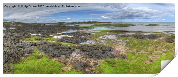 Coastal Colours near Bamburgh in Northumberland, Panorama Print by Philip Brown