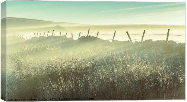 Misty morning on the moors Canvas Print by Andrew Kearton