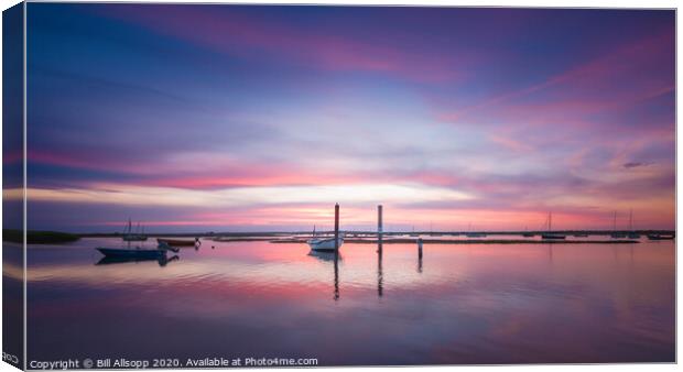 Pink and blue. Canvas Print by Bill Allsopp