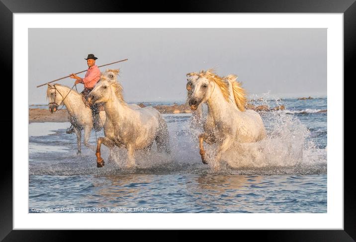 Captivating Camargue: France's Ancient Equestrian  Framed Mounted Print by Holly Burgess