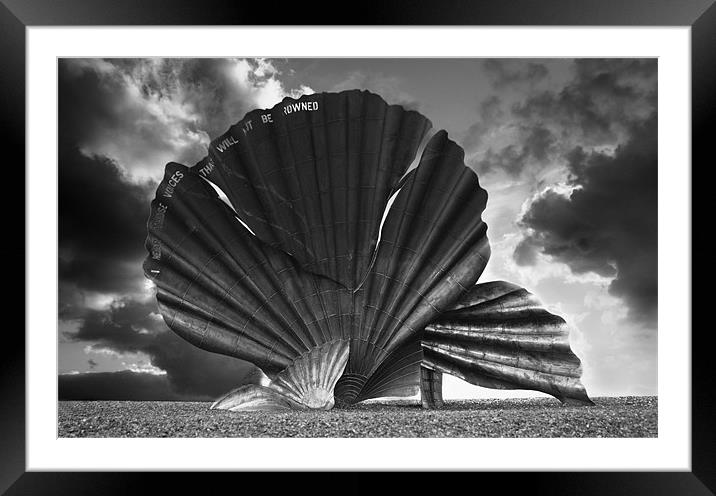 Aldeburgh Scallop Framed Mounted Print by Darren Burroughs