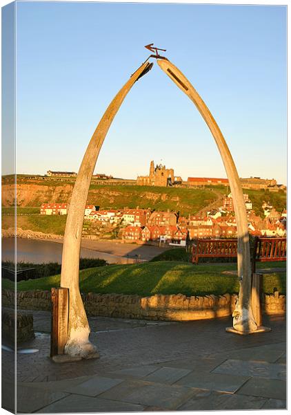 The Whalebone Arch, Whitby Canvas Print by graham young