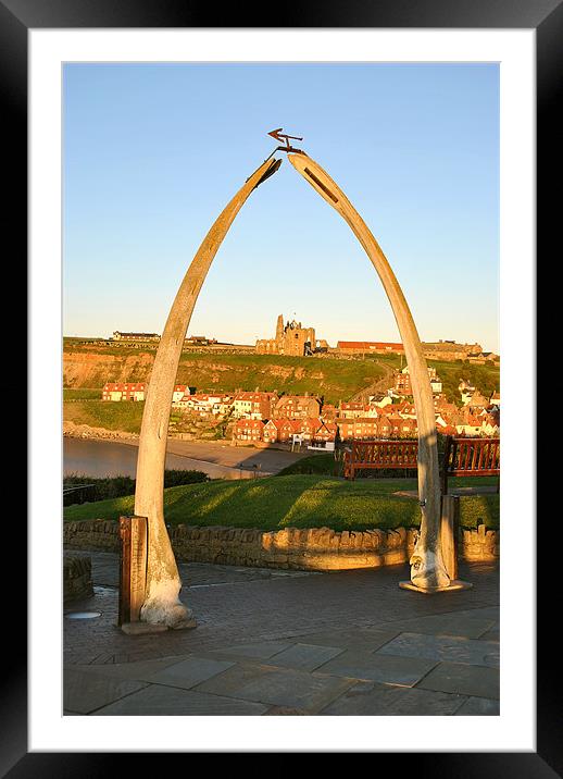 The Whalebone Arch, Whitby Framed Mounted Print by graham young