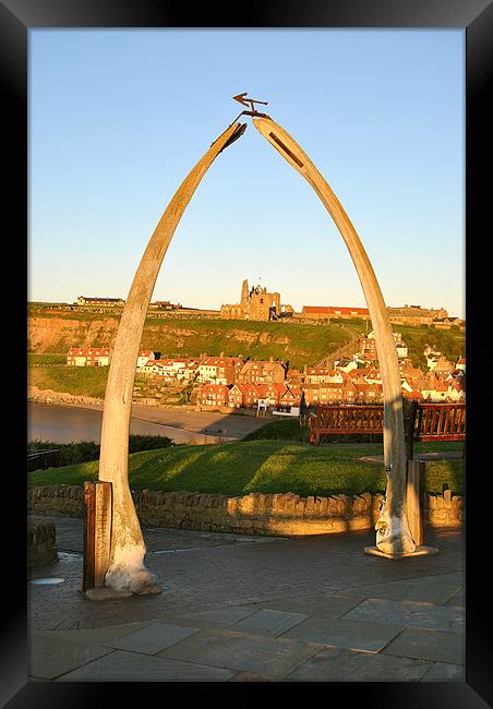 The Whalebone Arch, Whitby Framed Print by graham young