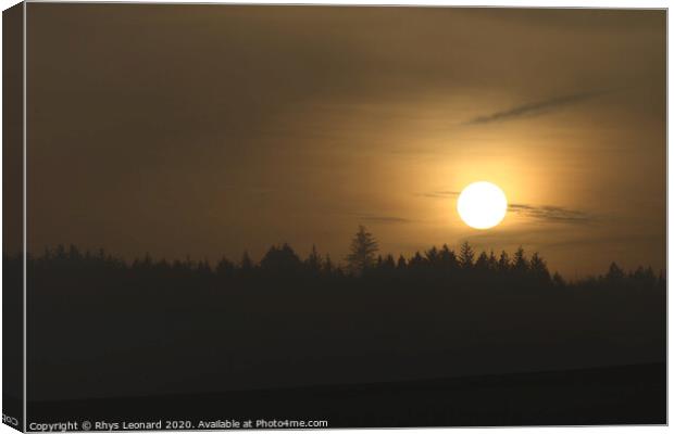 Hazy warm golden sunset silhouettes a line of coniferous trees Canvas Print by Rhys Leonard