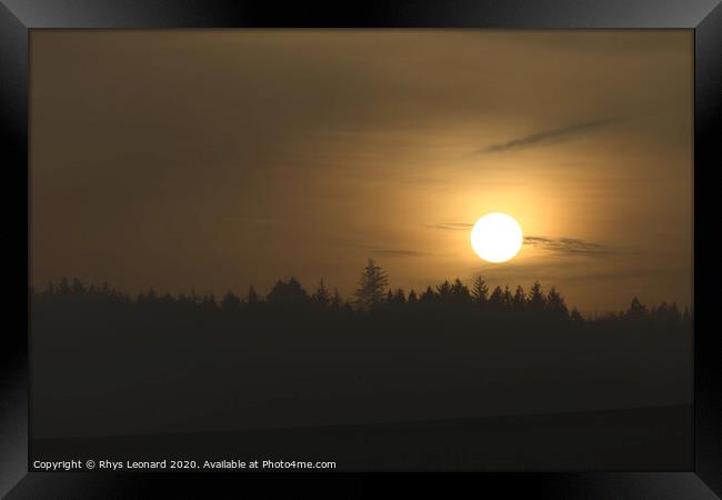 Hazy warm golden sunset silhouettes a line of coniferous trees Framed Print by Rhys Leonard
