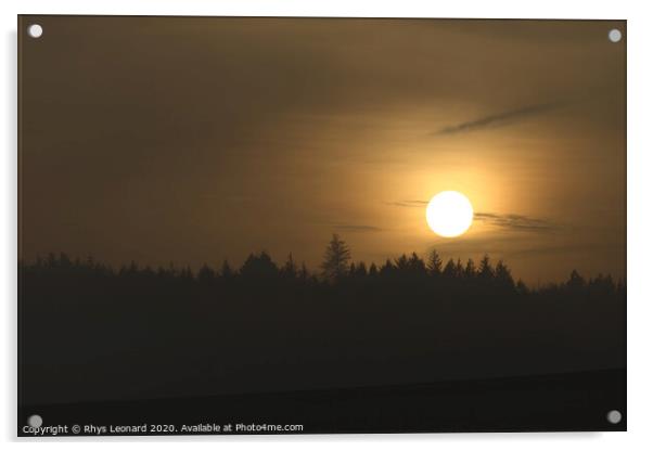 Hazy warm golden sunset silhouettes a line of coniferous trees Acrylic by Rhys Leonard