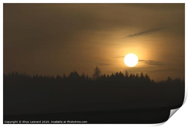 Hazy warm golden sunset silhouettes a line of coniferous trees Print by Rhys Leonard
