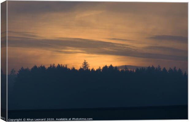 Amber glow at dusk, just after sunset, behind a coniferous forest Canvas Print by Rhys Leonard