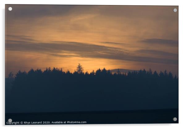 Amber glow at dusk, just after sunset, behind a coniferous forest Acrylic by Rhys Leonard