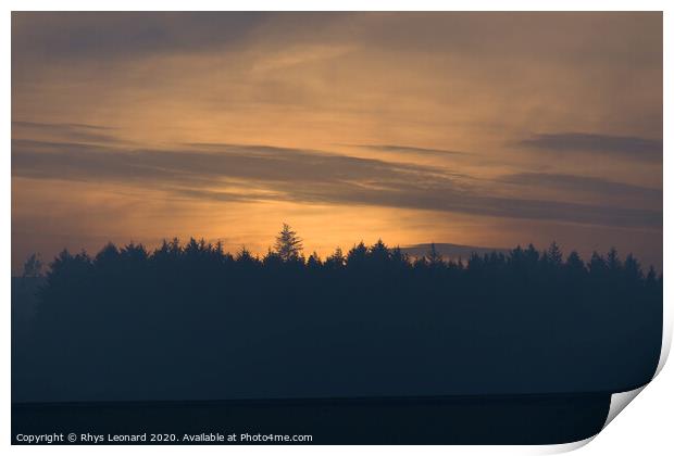 Amber glow at dusk, just after sunset, behind a coniferous forest Print by Rhys Leonard