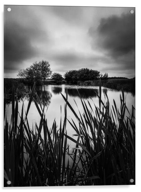 Castle Eden Pond in monochrome  Acrylic by Janet Kelly