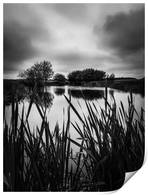 Castle Eden Pond in monochrome  Print by Janet Kelly