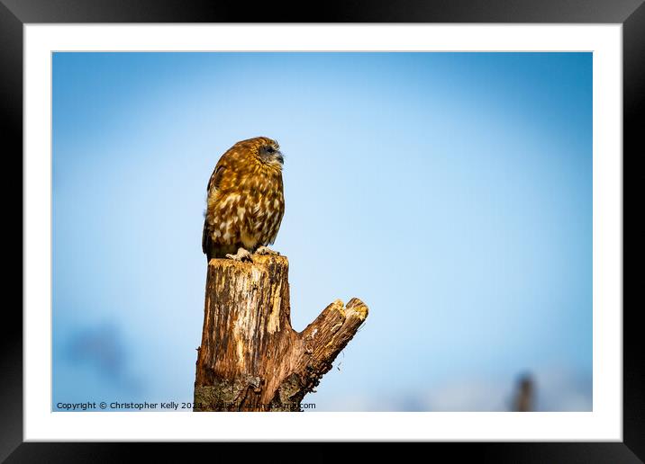 Lonesome Owl Framed Mounted Print by Christopher Kelly