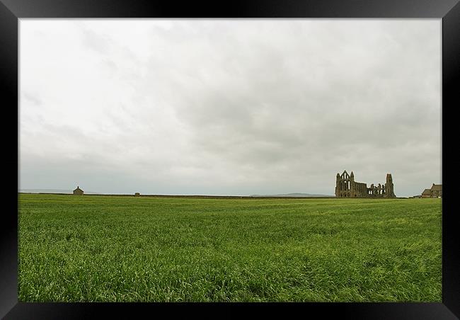 Whitby Abbey Framed Print by graham young