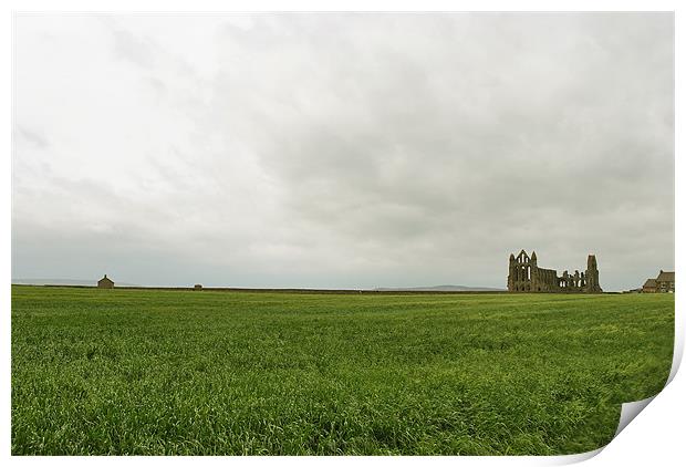 Whitby Abbey Print by graham young