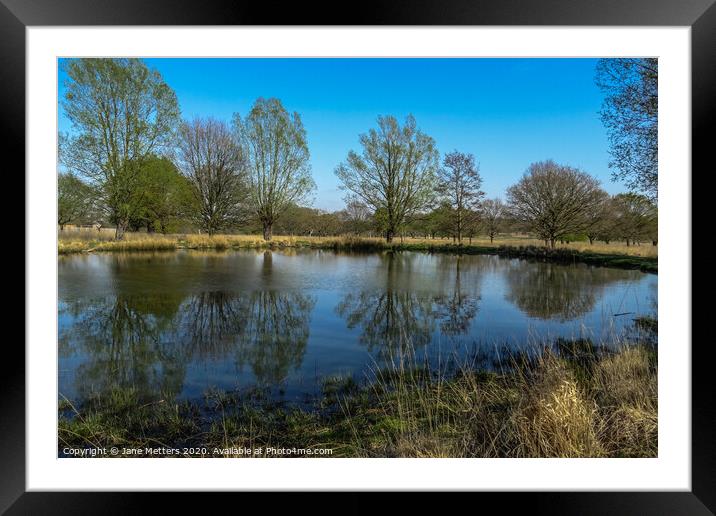 Winter Reflections Framed Mounted Print by Jane Metters