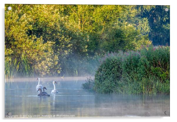 Swans and Cygnets Acrylic by Jim Key
