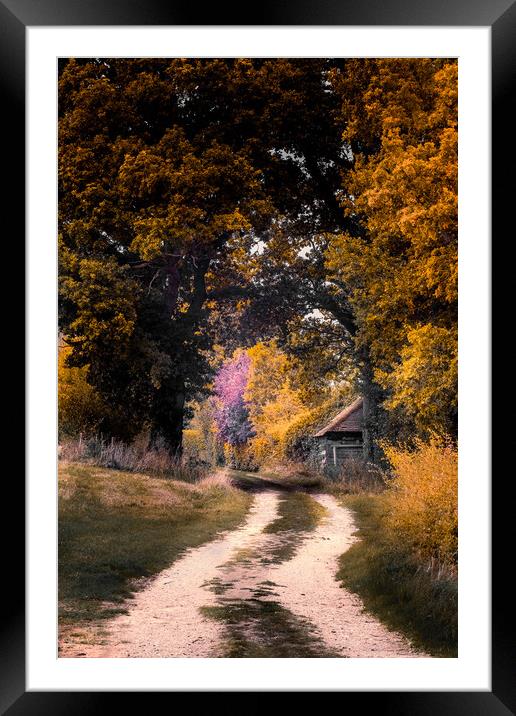 Autumn Lane Framed Mounted Print by Mark Jones