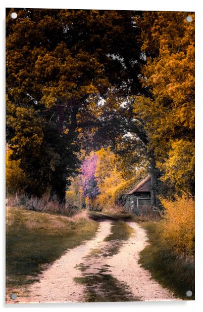 Autumn Lane Acrylic by Mark Jones