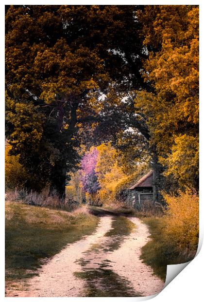 Autumn Lane Print by Mark Jones