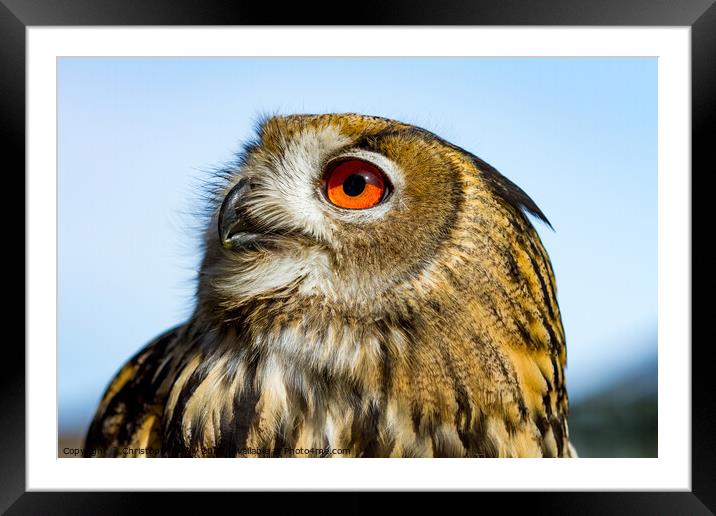 Woodsy Owl Framed Mounted Print by Christopher Kelly