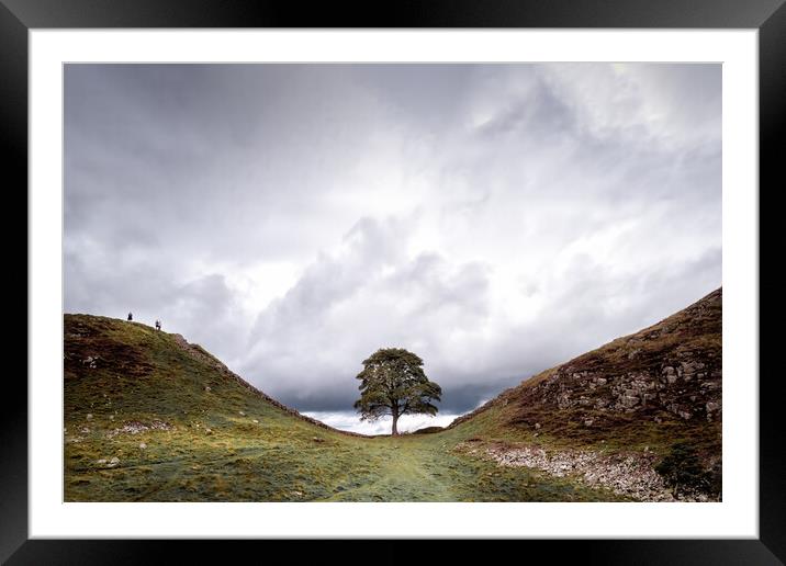 Sycamore Gap Framed Mounted Print by Mark Jones