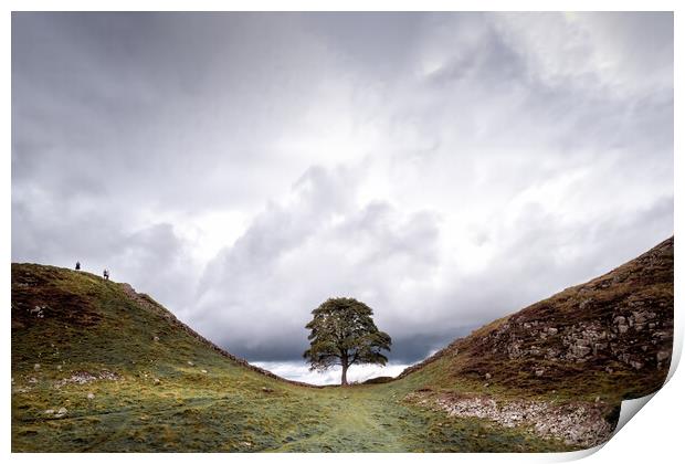 Sycamore Gap Print by Mark Jones