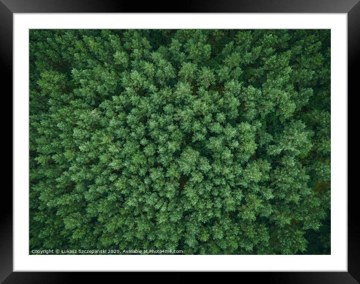Green forest Framed Mounted Print by Łukasz Szczepański