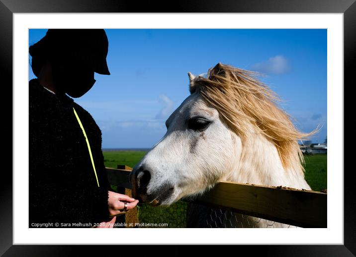Girl feeding horse Framed Mounted Print by Sara Melhuish