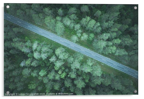 A road through green pine forest Acrylic by Łukasz Szczepański