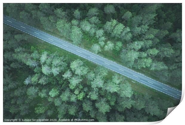 A road through green pine forest Print by Łukasz Szczepański